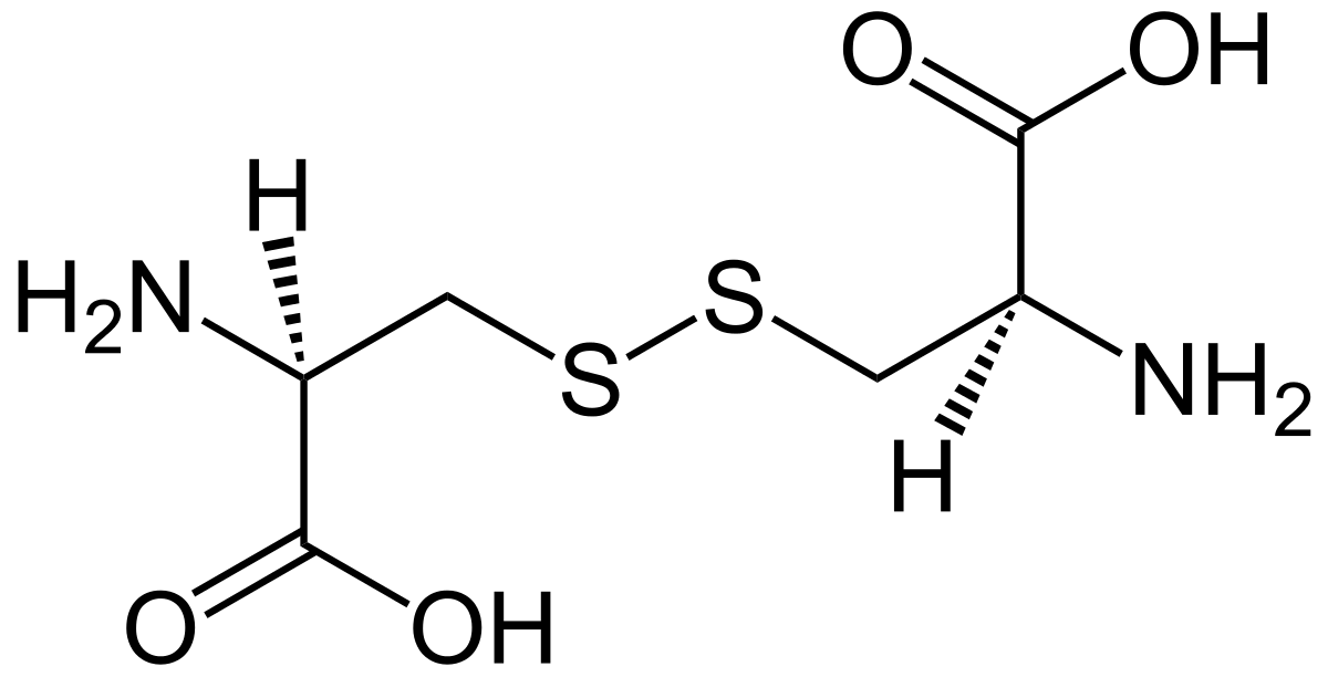 L-Cystine_Structural_Formula_V1